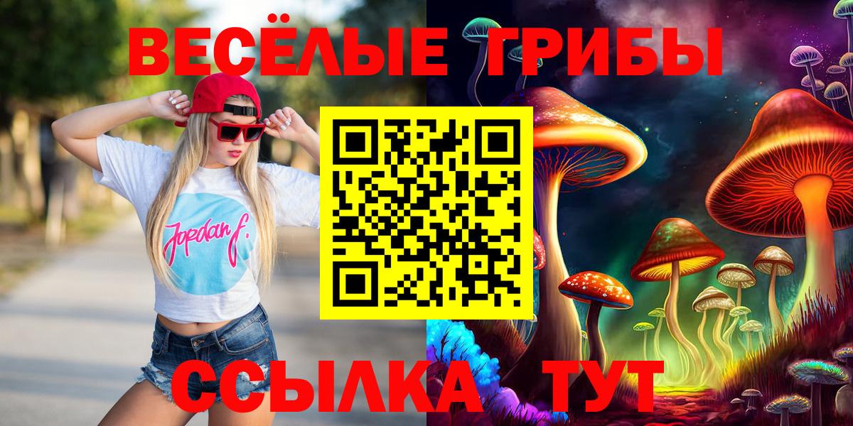 Псилоцибиновые грибы прущие грибы Камышлов